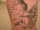 alex tattoo
