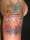 melissa tattoo