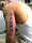 MercNyne tattoo