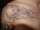 Idnc76 tattoo