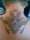 Jeremy tattoo