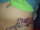 md22 tattoo