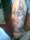 FrankDarko tattoo