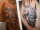 Rotten187 tattoo