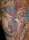 josh tattoo