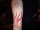 dave caskey tattoo