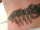 jonnas1989 tattoo