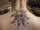 starlet tattoo