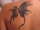 Beautiful_ Love tattoo