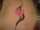 mcp tattoo