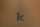 smitty-85 tattoo