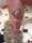 J.R. tattoo