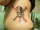 Horchata tattoo