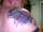 josh tattoo