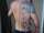 Dex tattoo