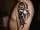 alex tattoo