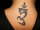 Tiger Lily tattoo