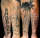 Shelby tattoo