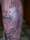 jimvic tattoo