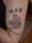 Dex tattoo