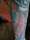Jpragusa tattoo