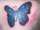 jim tattoo