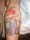 Dex tattoo