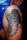 Giggity tattoo