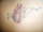 shaun tattoo