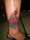 louise tattoo