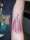 Nepher tattoo