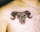 David tattoo