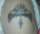 jim tattoo