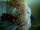 skizzo tattoo