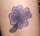 ToMmYbOy tattoo