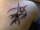 Chucky at Twiztid Ink tattoo