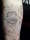 LilyMay tattoo