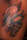 kraasch tattoo