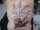 imfrog tattoo