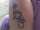 torabella tattoo