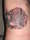 jackgomer tattoo