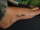 Andrea tattoo