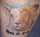 Joni tattoo