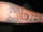 stevo tattoo