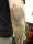 abe tattoo