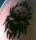tay tattoo