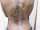 LAW tattoo