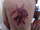 Dylan tattoo
