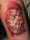 Daniel tattoo