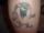 crookshanks tattoo